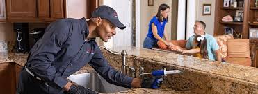 Best Residential Pest Control  in State Center, IA